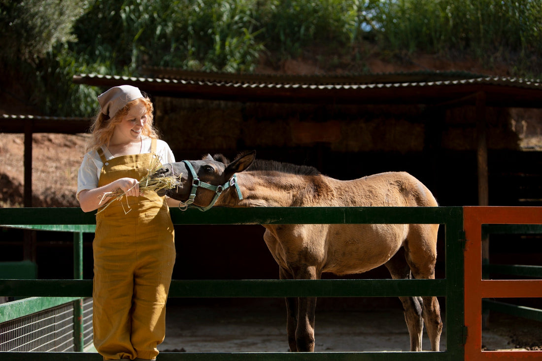 How To Keep Your Horse Healthy With Natural Care
