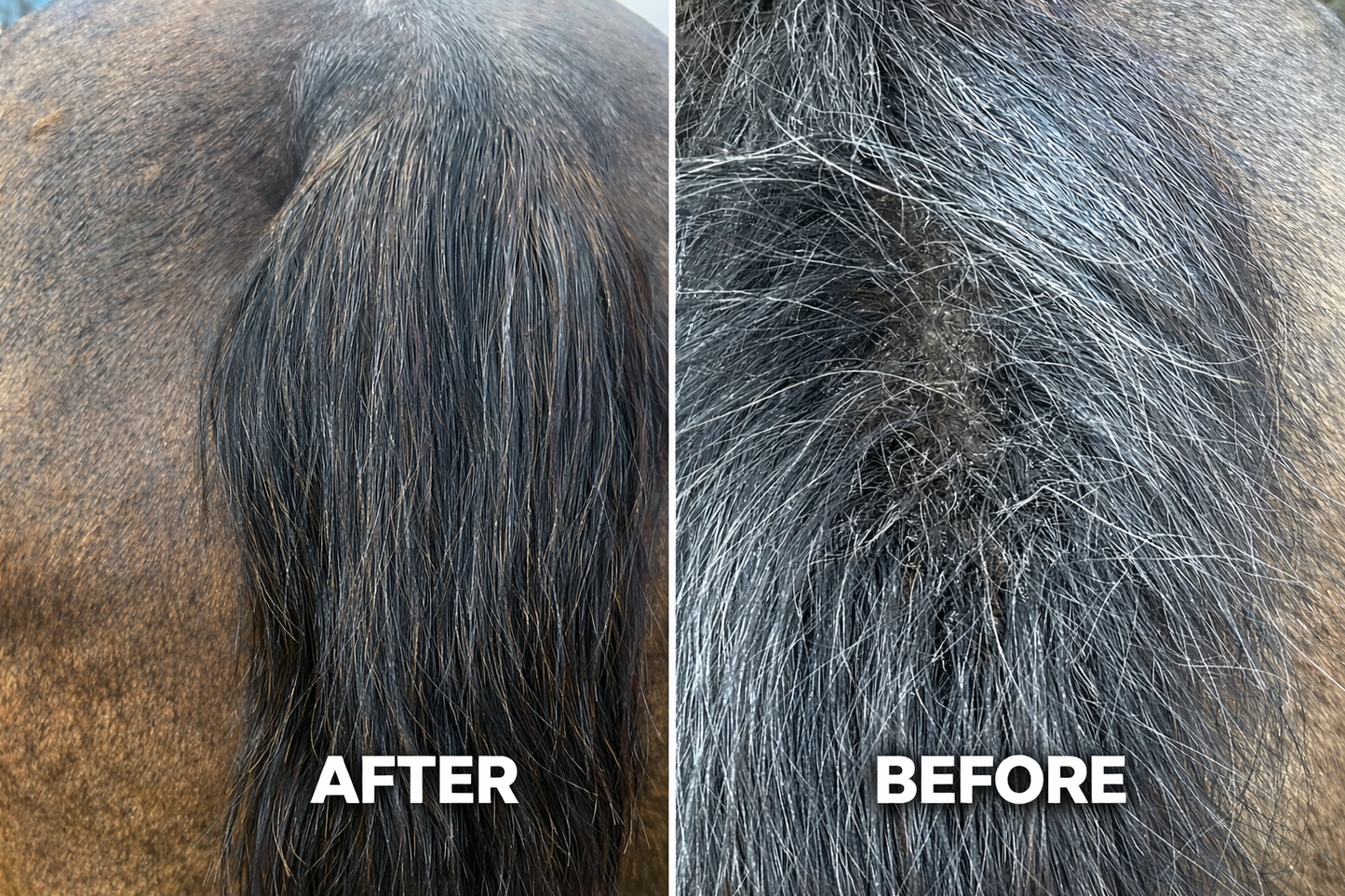 EQUINE SOOTHER BARRIER BALM